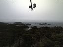 ./images/calvert/lookout/20210402/lookout20210402_091501.jpg