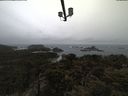 ./images/calvert/lookout/20210402/lookout20210402_094501.jpg