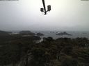 ./images/calvert/lookout/20210402/lookout20210402_100502.jpg