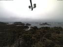 ./images/calvert/lookout/20210402/lookout20210402_105002.jpg
