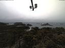 ./images/calvert/lookout/20210402/lookout20210402_105502.jpg