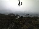 ./images/calvert/lookout/20210402/lookout20210402_114501.jpg