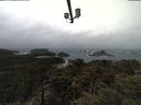 ./images/calvert/lookout/20210402/lookout20210402_123502.jpg