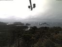 ./images/calvert/lookout/20210402/lookout20210402_143502.jpg