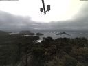 ./images/calvert/lookout/20210402/lookout20210402_160502.jpg