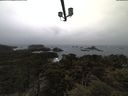 ./images/calvert/lookout/20210403/lookout20210403_081001.jpg