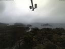 ./images/calvert/lookout/20210403/lookout20210403_094501.jpg