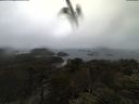./images/calvert/lookout/20210403/lookout20210403_095001.jpg