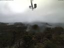 ./images/calvert/lookout/20210403/lookout20210403_100501.jpg