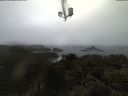 ./images/calvert/lookout/20210403/lookout20210403_101001.jpg