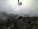 ./images/calvert/lookout/20210403/lookout20210403_112501.jpg