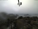 ./images/calvert/lookout/20210403/lookout20210403_115001.jpg