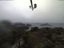 ./images/calvert/lookout/20210403/lookout20210403_115501.jpg