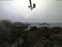./images/calvert/lookout/20210403/lookout20210403_120002.jpg