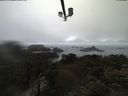 ./images/calvert/lookout/20210403/lookout20210403_120501.jpg