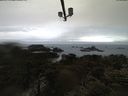 ./images/calvert/lookout/20210403/lookout20210403_121502.jpg