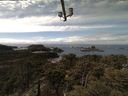 ./images/calvert/lookout/20210403/lookout20210403_132001.jpg