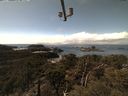 ./images/calvert/lookout/20210403/lookout20210403_134501.jpg