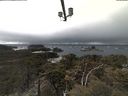 ./images/calvert/lookout/20210403/lookout20210403_145501.jpg