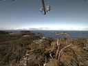 ./images/calvert/lookout/20210404/lookout20210404_104501.jpg