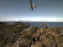 ./images/calvert/lookout/20210404/lookout20210404_105002.jpg