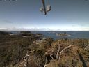 ./images/calvert/lookout/20210404/lookout20210404_111502.jpg