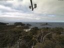 ./images/calvert/lookout/20210405/lookout20210405_113501.jpg