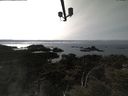 ./images/calvert/lookout/20210405/lookout20210405_161002.jpg