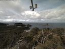 ./images/calvert/lookout/20210406/lookout20210406_115001.jpg