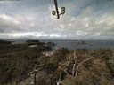 ./images/calvert/lookout/20210406/lookout20210406_115501.jpg