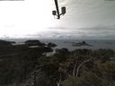 ./images/calvert/lookout/20210406/lookout20210406_141502.jpg
