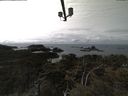 ./images/calvert/lookout/20210406/lookout20210406_142002.jpg