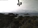 ./images/calvert/lookout/20210406/lookout20210406_142502.jpg