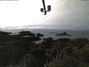 ./images/calvert/lookout/20210406/lookout20210406_151001.jpg
