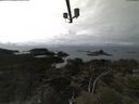 ./images/calvert/lookout/20210406/lookout20210406_152501.jpg