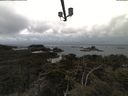 ./images/calvert/lookout/20210406/lookout20210406_175002.jpg