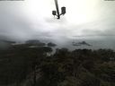 ./images/calvert/lookout/20210407/lookout20210407_103501.jpg