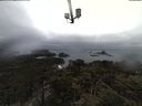 ./images/calvert/lookout/20210407/lookout20210407_105501.jpg