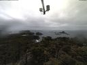 ./images/calvert/lookout/20210407/lookout20210407_110501.jpg