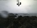 ./images/calvert/lookout/20210407/lookout20210407_113501.jpg