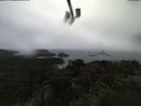 ./images/calvert/lookout/20210407/lookout20210407_114002.jpg