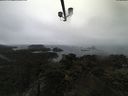 ./images/calvert/lookout/20210407/lookout20210407_115002.jpg