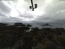 ./images/calvert/lookout/20210407/lookout20210407_140502.jpg