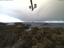 ./images/calvert/lookout/20210408/lookout20210408_071501.jpg