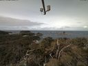 ./images/calvert/lookout/20210408/lookout20210408_104002.jpg