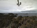 ./images/calvert/lookout/20210408/lookout20210408_111501.jpg