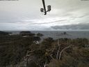 ./images/calvert/lookout/20210408/lookout20210408_112001.jpg