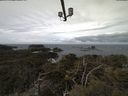 ./images/calvert/lookout/20210408/lookout20210408_112501.jpg