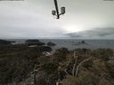 ./images/calvert/lookout/20210408/lookout20210408_115501.jpg
