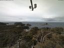 ./images/calvert/lookout/20210408/lookout20210408_121001.jpg